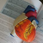 Guide pratique : Quel est le rythme cardiaque idéal au repos ? Améliorer votre santé avec ces conseils clés !
