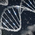 Gènes vs. mode de vie quelle influence sur la santé