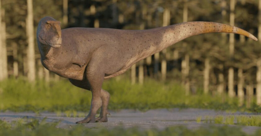 Découverte d’une nouvelle espèce de dinosaure avec de petits bras