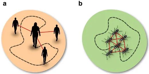 Ce que les fourmis peuvent nous apprendre sur la collaboration et le travail d'équipe pour le bien commun 2 Ce que les fourmis peuvent nous apprendre sur la collaboration et le travail d'équipe pour le bien commun