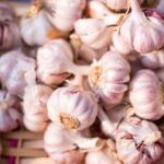 Nouvelle étude révélant les effets surprenants de la consommation d'ail