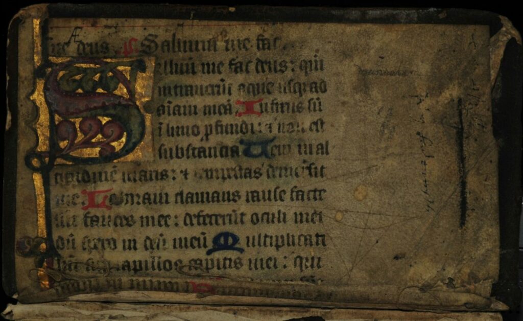 Une simple brosse médicale révèle l'ADN caché dans des manuscrits vieux de 1 300 ans sans les abîmer d'un seul millimètre 1 Une simple brosse médicale révèle l'ADN caché dans des manuscrits vieux de 1 300 ans sans les abîmer d'un seul millimètre