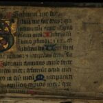 Une simple brosse médicale révèle l'ADN caché dans des manuscrits vieux de 1 300 ans sans les abîmer d'un seul millimètre