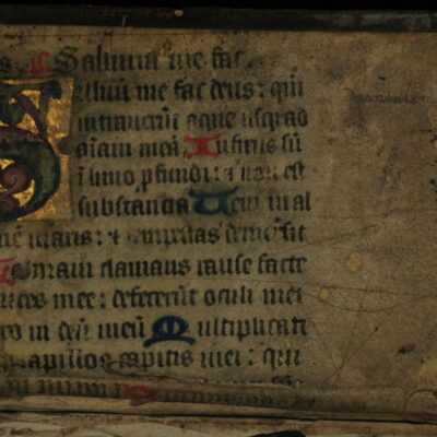 Une simple brosse médicale révèle l&rsquo;ADN caché dans des manuscrits vieux de 1 300 ans sans les abîmer d&rsquo;un seul millimètre