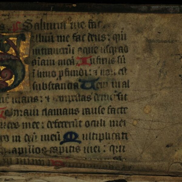 Une simple brosse médicale révèle l&rsquo;ADN caché dans des manuscrits vieux de 1 300 ans sans les abîmer d&rsquo;un seul millimètre