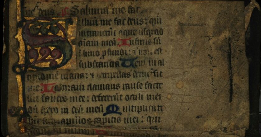 Une simple brosse médicale révèle l&rsquo;ADN caché dans des manuscrits vieux de 1 300 ans sans les abîmer d&rsquo;un seul millimètre