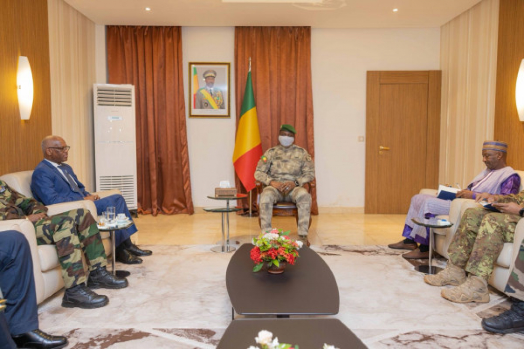 (NON CHANGE) #Mali : le président de la Transition reçoit le chef de la Minusma en fin de mission