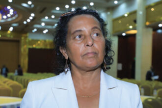 Colère du secteur privé contre la Chambre de Commerce d&rsquo;Addis pour une représentation insuffisante | Dernières nouvelles éthiopiennes