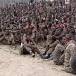 Éthiopie : Mise à jour sur la Guerre en Cours dans la Région d&rsquo;Amhara – Actualités et Tensions