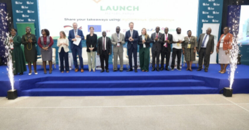 Kenya : Le GIZ lance le Hub d’Innovation Vert et Numérique pour la transition numérique des MPME