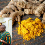 Gingembre : Remède potentiel contre la dysfonction érectile