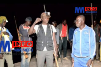 Captivés par Mayo Tsanaga : Une vague de prises d&rsquo;otages alarmante