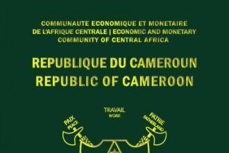 Destinations sans visa idéales pour vos vacances de Noël avec un passeport camerounais