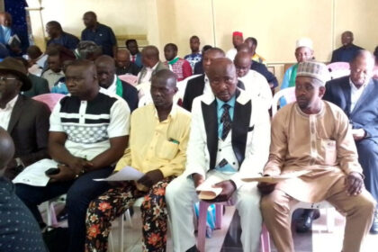 Le premier gouvernement de Joshua Osih : récit captivant sur le parcours du SDF