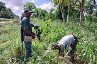 Terrible enlèvement de trois agents de l’Eaux et Forêts dans le Sud-Ouest !