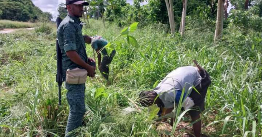 Terrible enlèvement de trois agents de l’Eaux et Forêts dans le Sud-Ouest !