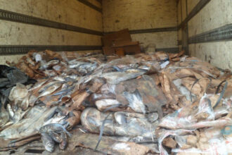 Réduire les prix du poisson pour les fêtes de fin d’année : l’objectif du gouvernement