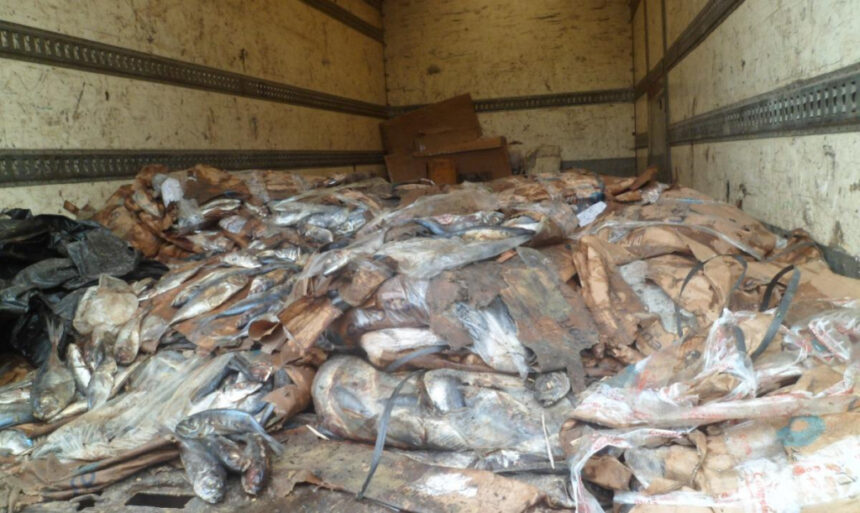 Réduire les prix du poisson pour les fêtes de fin d&rsquo;année : l&rsquo;objectif du gouvernement