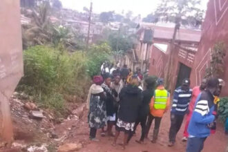 Incroyable: Le Tragique Destin de Deux Hommes lynchés pour avoir volé du Manioc à Leboudi