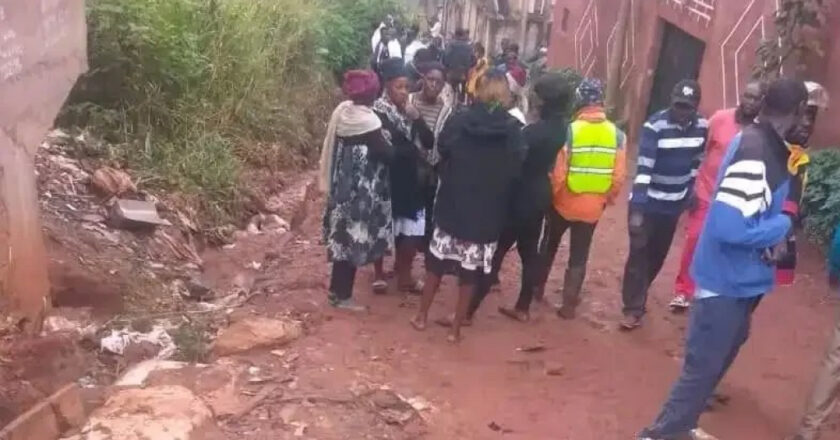 Incroyable: Le Tragique Destin de Deux Hommes lynchés pour avoir volé du Manioc à Leboudi