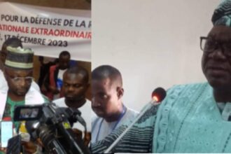 Le conflit de succession politique au Cameroun : Dakole fils vs. Paul Djorwé