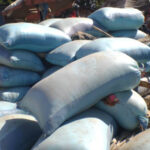 Burkina Faso: Interdiction des Exportations de Céréales – Nouvelle Mesure pour la Sécurité Alimentaire