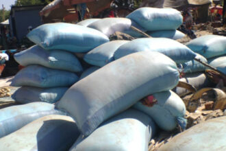 Burkina Faso: Interdiction des Exportations de Céréales – Nouvelle Mesure pour la Sécurité Alimentaire