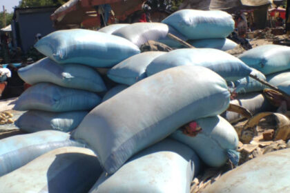 Burkina Faso: Interdiction des Exportations de Céréales – Nouvelle Mesure pour la Sécurité Alimentaire