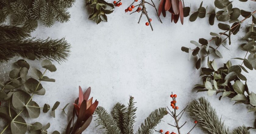 Plongez dans le royaume de l’enchantement : Les contes de Noël dévoilent des traditions magiques