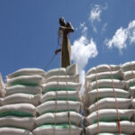 Scandale en Centrafrique: 50 000 tonnes de blé détournées par des fonctionnaires et des hommes d’affaires corrompus