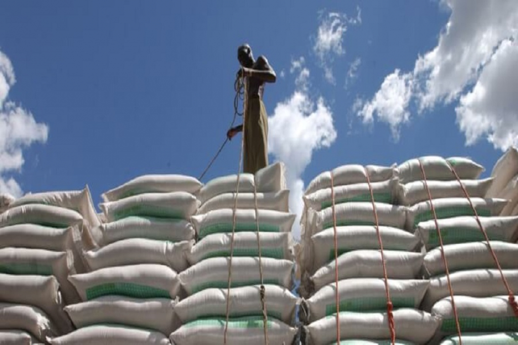 Scandale en Centrafrique: 50 000 tonnes de blé détournées par des fonctionnaires et des hommes d’affaires corrompus