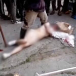 Miraculée : Une femme chinoise chute d’un immeuble à Douala et survit !
