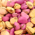 Santé : Découvrez les méfaits méconnus de la noix de cola, un stimulant puissant !