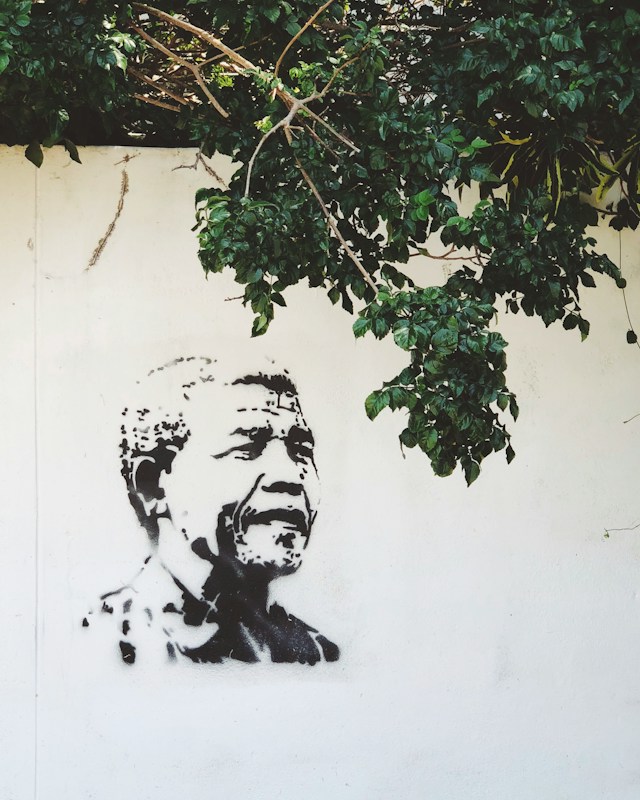 La bataille juridique en Afrique du Sud pour les biens de Mandela : la vente aux enchères en question