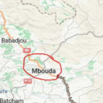 Meurtre atroce à Mbouda : un homme décapite son père à cause de la nourriture