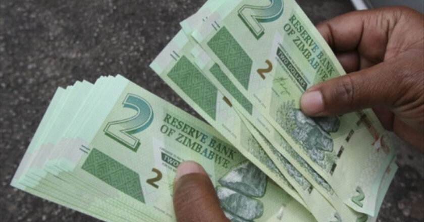 Zimbabwe adopte la monnaie ZiG pour combattre l’inflation
