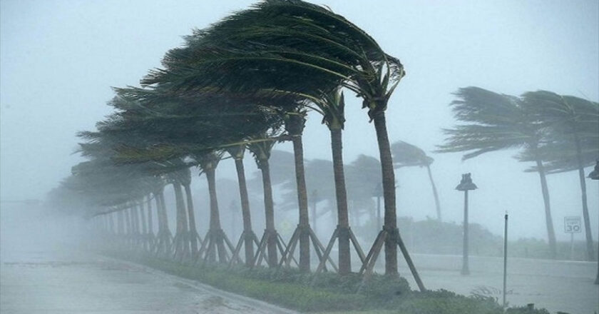 Tempête en Afrique du Sud: Des vents de 90km/h ravagent Le Cap, dégâts considérables signalés