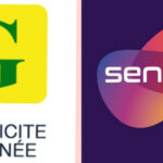 Amélioration énergétique : Dakar et Conakry renforcent leur coopération