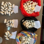 GAMBIE : Saisie record de 130 boulettes de cocaïne dans l’estomac d’un homme par le DLEAG