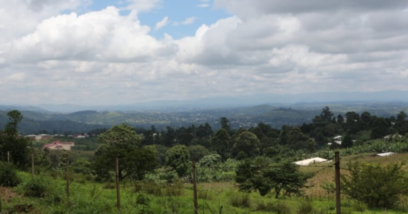 Violence à Bambui : 2 morts parmi les forces gouvernementales et 2 civils lors d’une attaque séparatiste