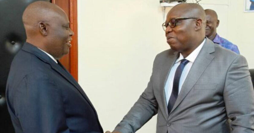 Rencontre entre le ministre de l’Energie de RCA et l’ambassadeur de la RDC pour une coopération énergétique prometteuse