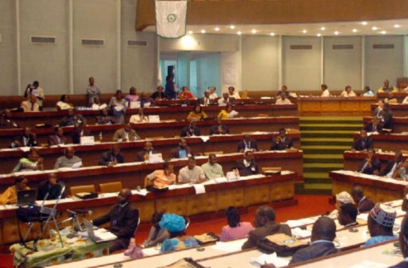 Prorogation du mandat des parlementaires au Cameroun : décision de l'Assemblée nationale validée