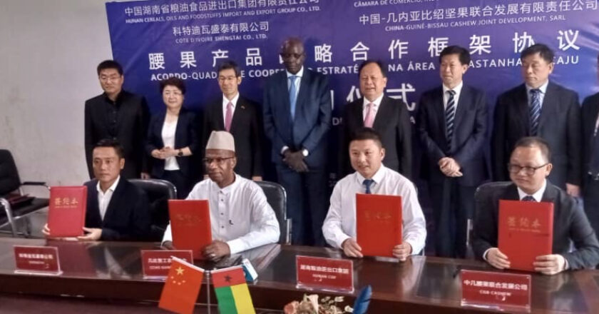 Guinée-Bissau : accord d’achat de noix de cajou avec des entrepreneurs chinois