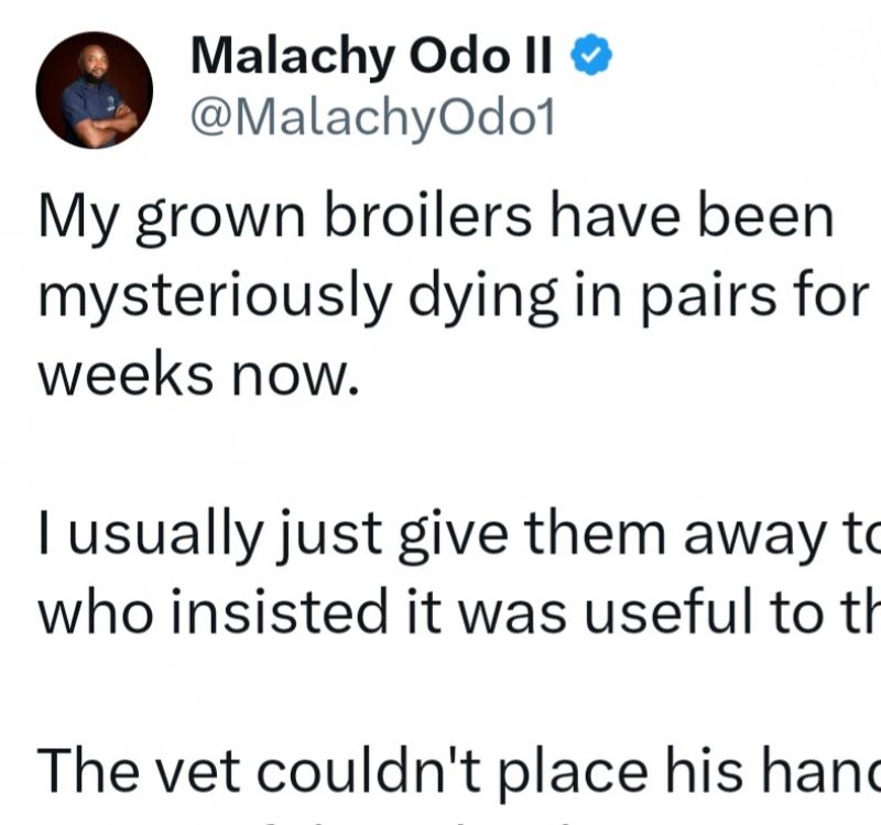 Comment un fermier nigérian a sauvé ses poulets grâce aux conseils de sa femme