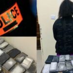 Sénégal : Une Femme Arrêtée avec 4,3 Milliards FCFA de Faux Billets