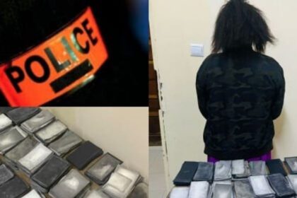 Sénégal : Une Femme Arrêtée avec 4,3 Milliards FCFA de Faux Billets