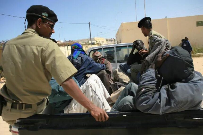 Migrants Gambiens en Mauritanie : Traitements Inhumains et Intervention du Gouvernement