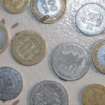 CEMAC : De Nouvelles Pièces de Monnaie en Circulation dès le 5 Avril