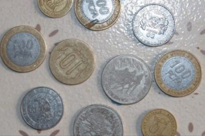 CEMAC : De Nouvelles Pièces de Monnaie en Circulation dès le 5 Avril