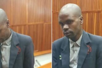 Prison à Vie : Un Sud-Africain Condamné pour le Viol et le Meurtre d&rsquo;une Fillette de 8 Ans